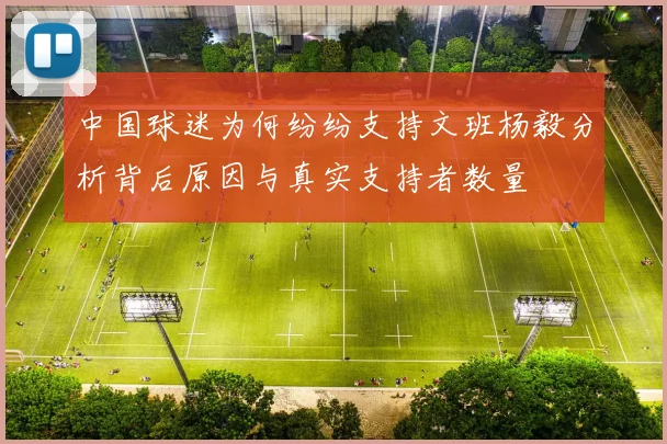 中国球迷为何纷纷支持文班杨毅分析背后原因与真实支持者数量